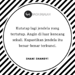 SHAN SHANDY (2)