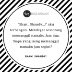 SHAN SHANDY (3)