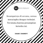 SHAN SHANDY (4)